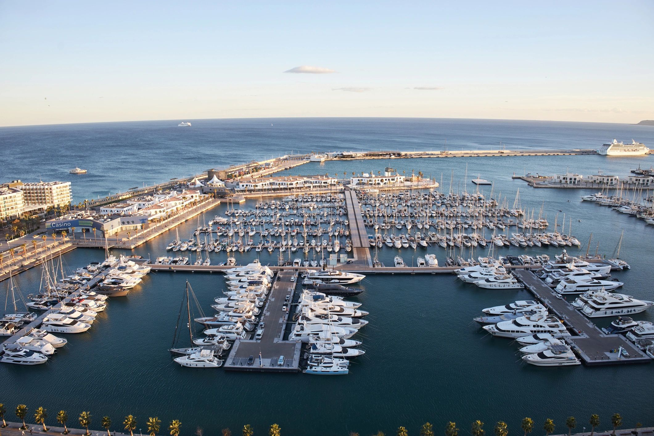 Sunny marina and waterfront city scene representing Algeria's coastal destinations